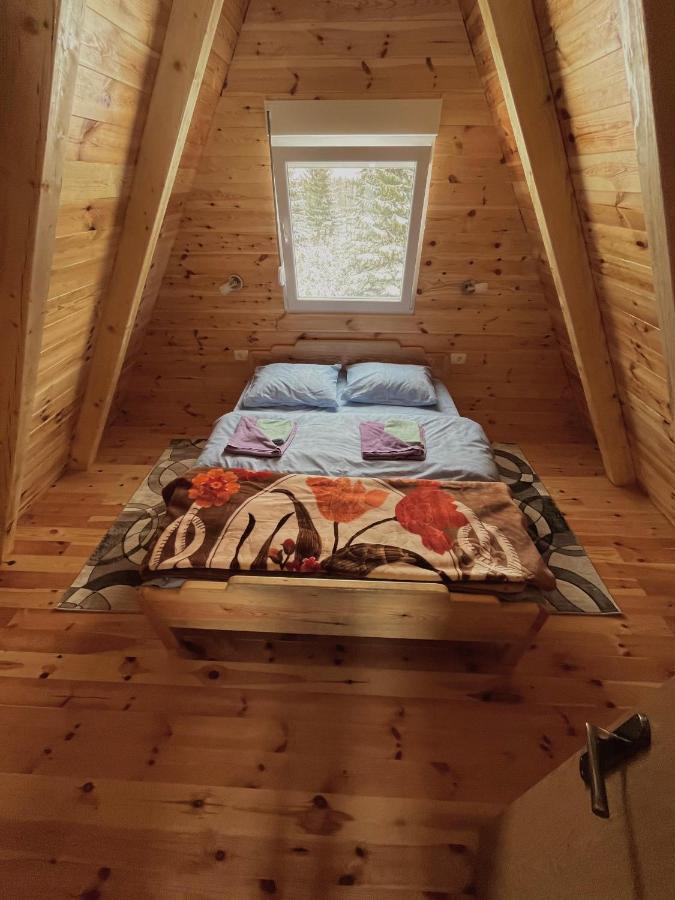 Villa Pejovic Zabljak  Luaran gambar