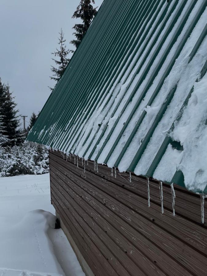 Villa Pejovic Zabljak  Luaran gambar