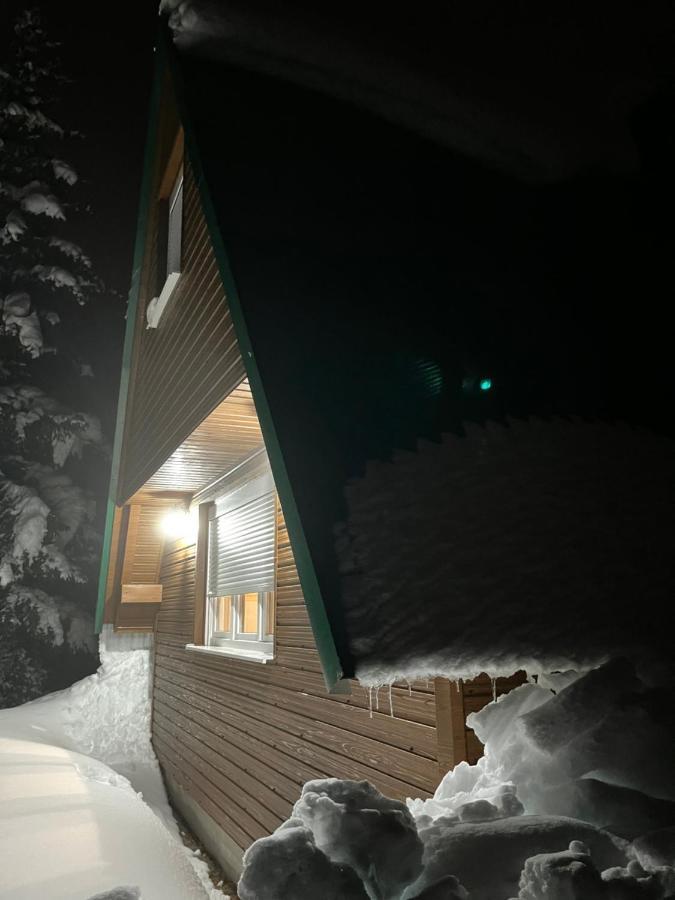 Villa Pejovic Zabljak  Luaran gambar
