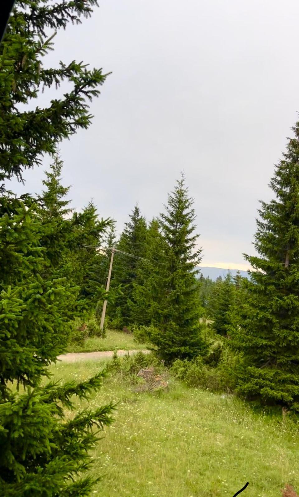 Villa Pejovic Zabljak  Luaran gambar