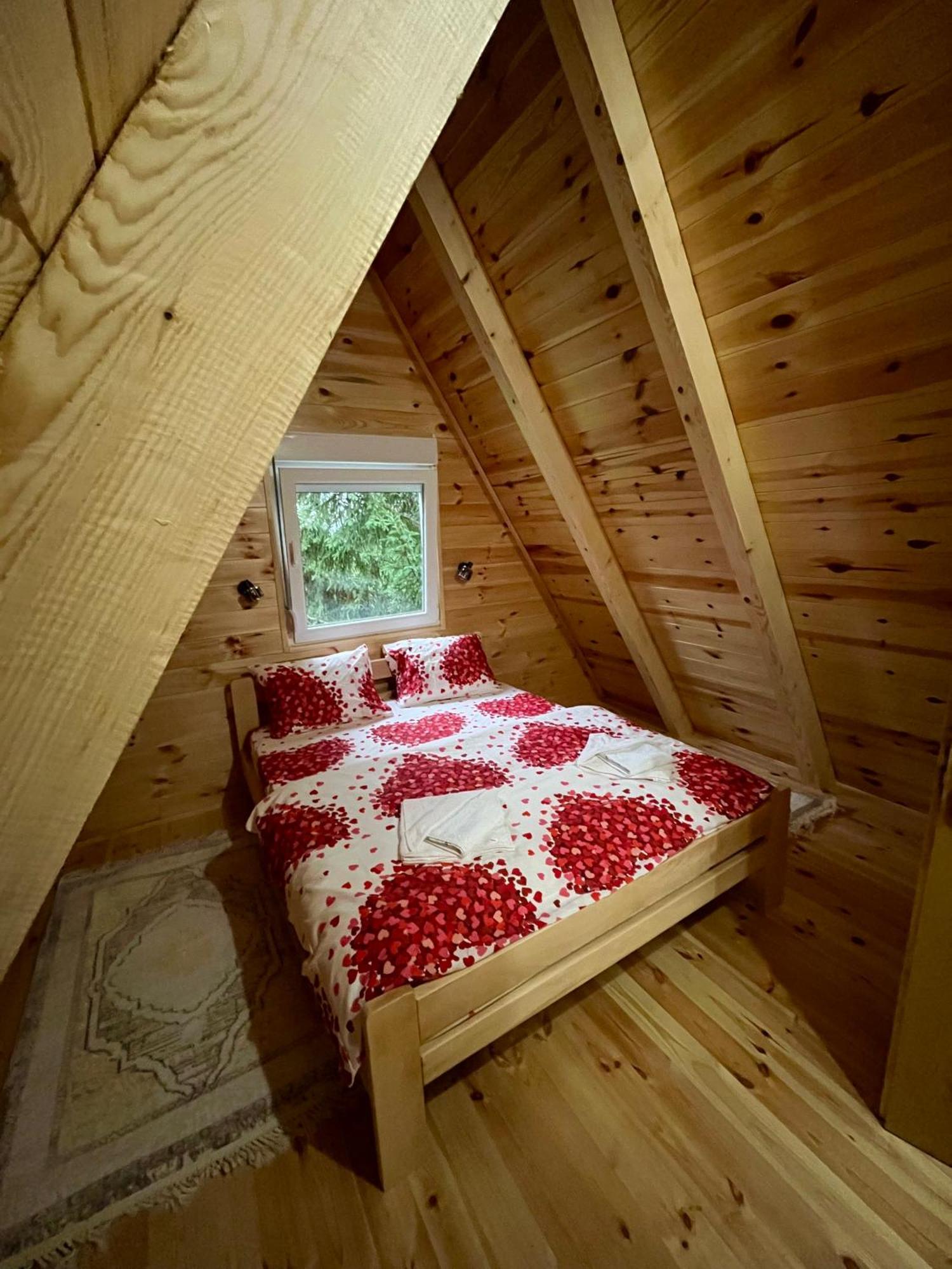 Villa Pejovic Zabljak  Luaran gambar