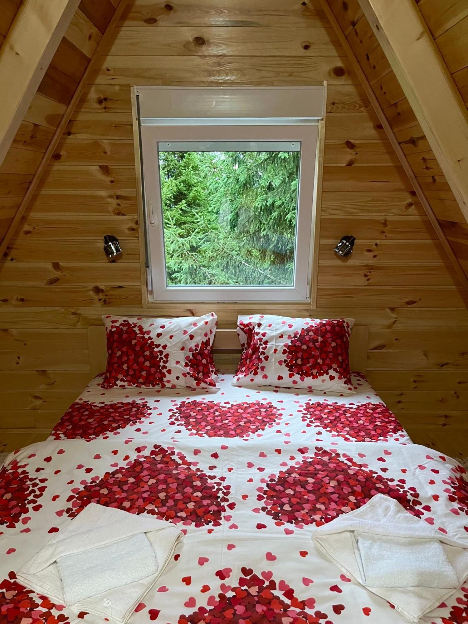 Villa Pejovic Zabljak  Luaran gambar