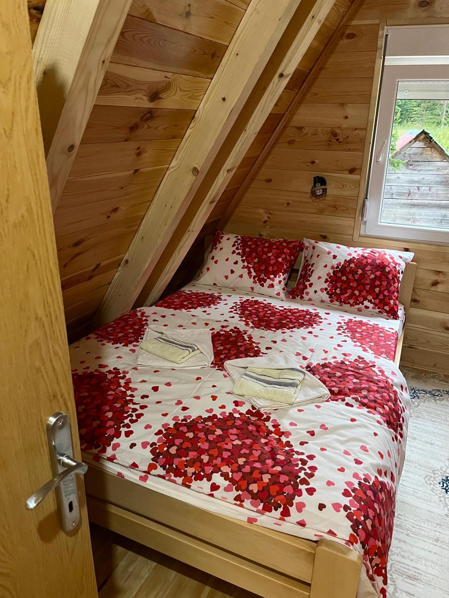 Villa Pejovic Zabljak  Luaran gambar