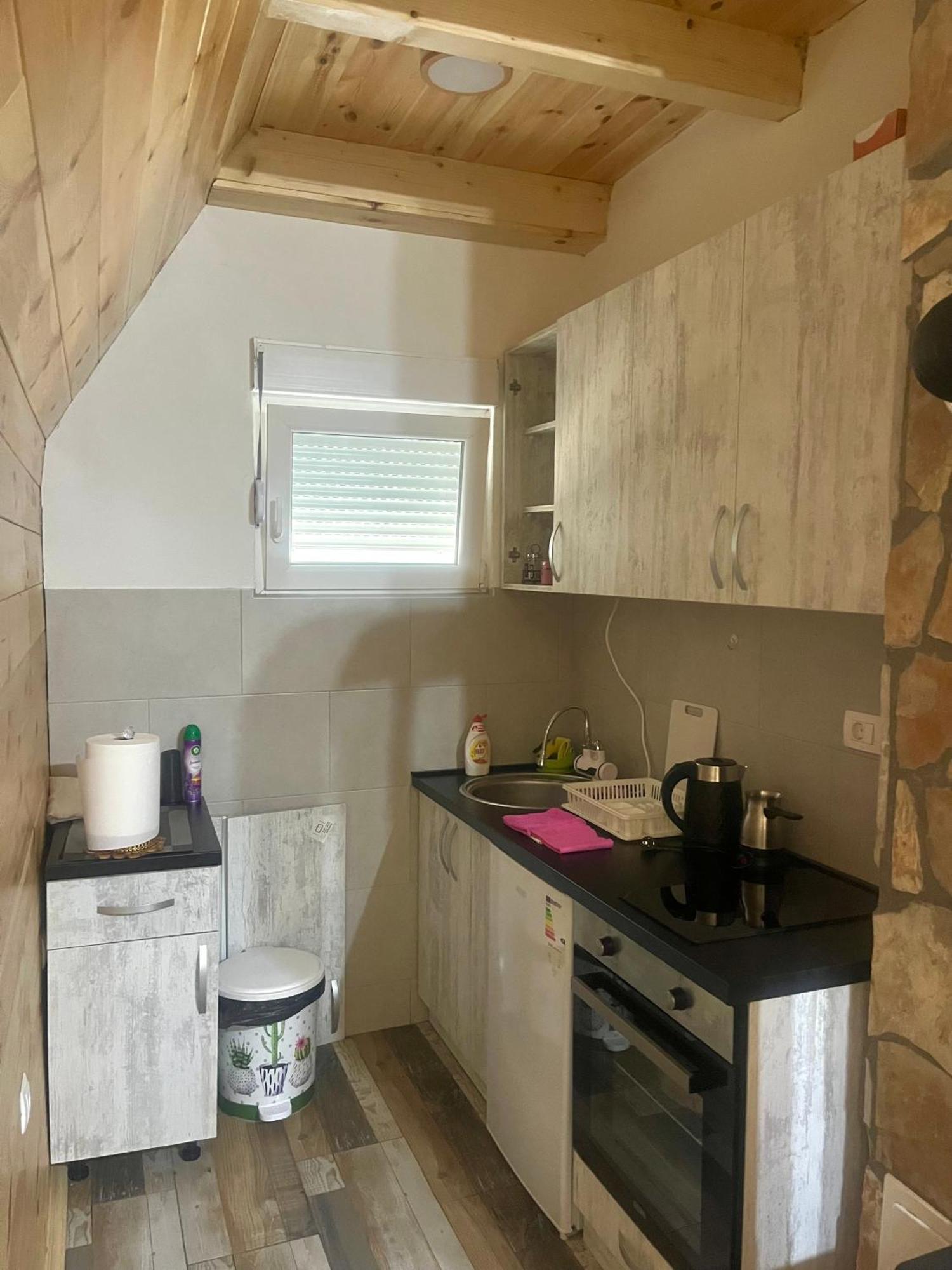 Villa Pejovic Zabljak  Luaran gambar
